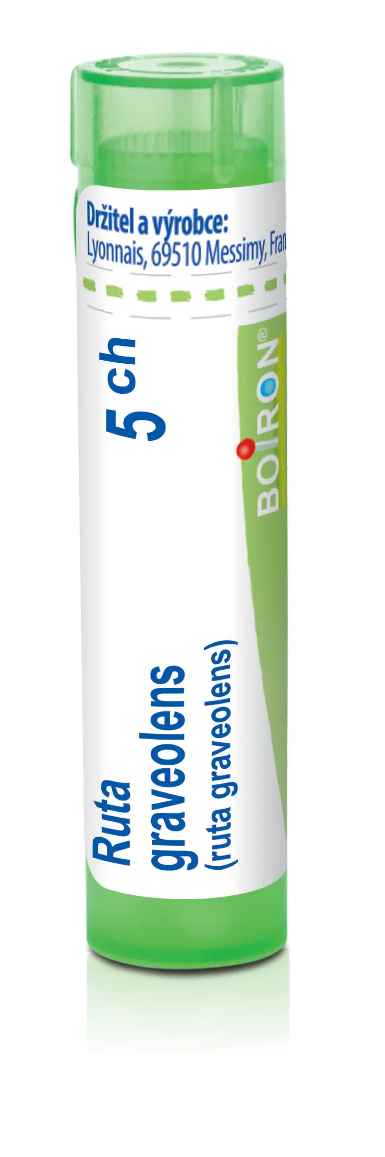 4487_RUTA GRAVEOLENS 5